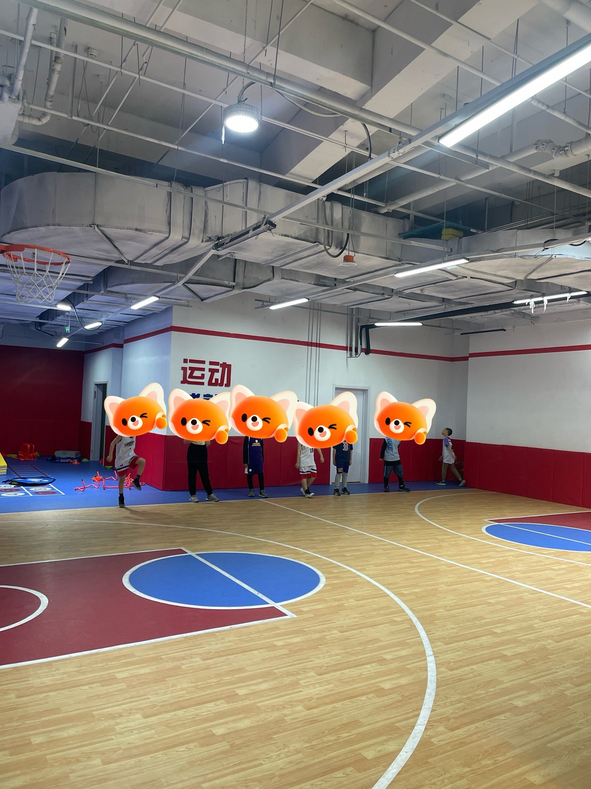 乌鲁木齐市篮球训练营有哪些地方